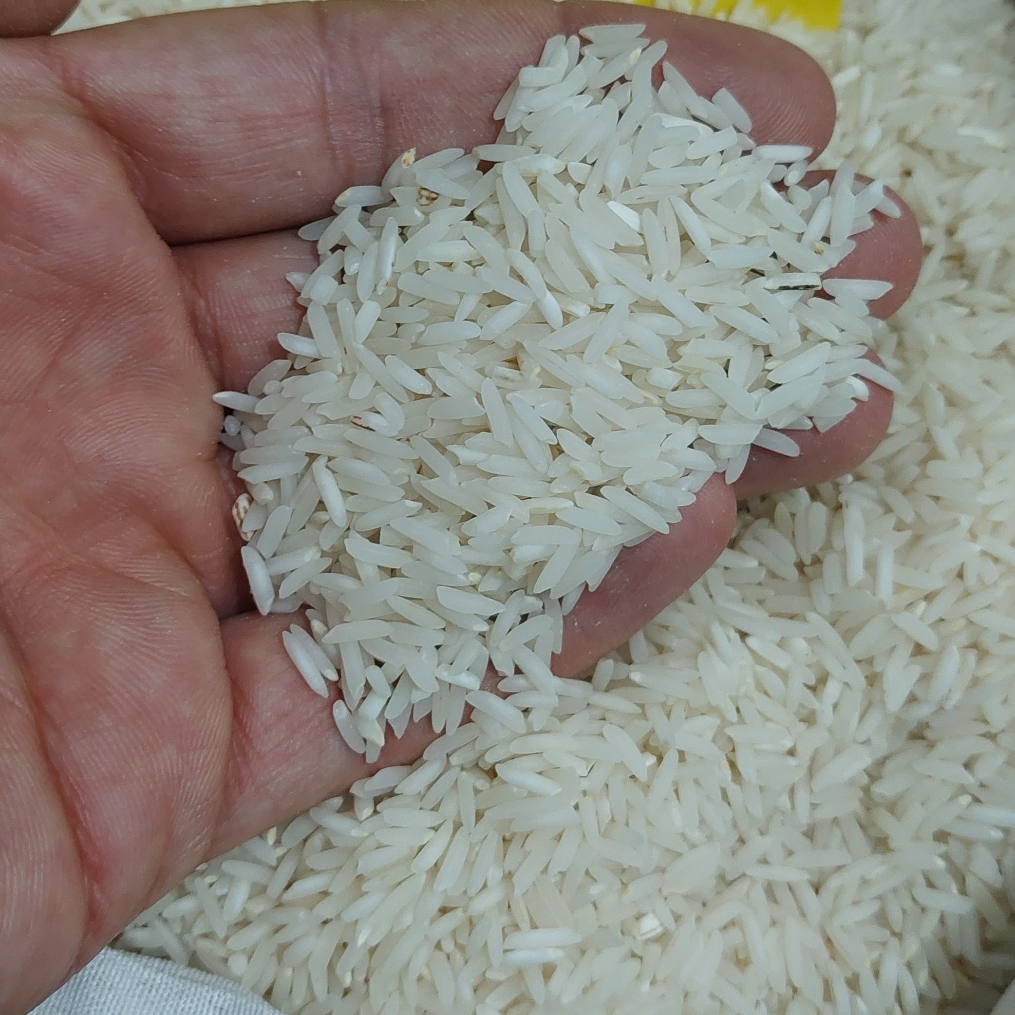برنج طارم هاشمی درجه یک کیسه ده کیلویی 1،090،000 تومان(ارسال رایگان)