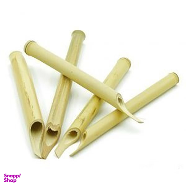 قلم خوشنویسی نی خیزران