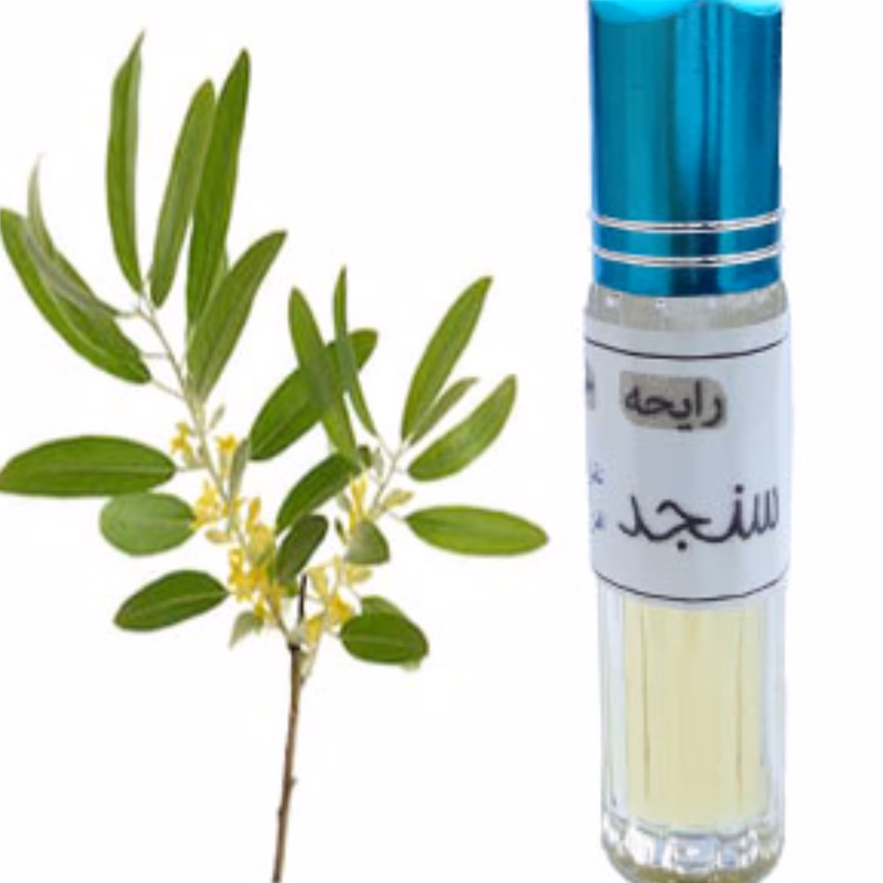 عطر سنجد 5 میلی خالص - زنانه 