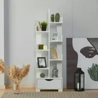 کتابخانه مدل کاکتوس پارسمن