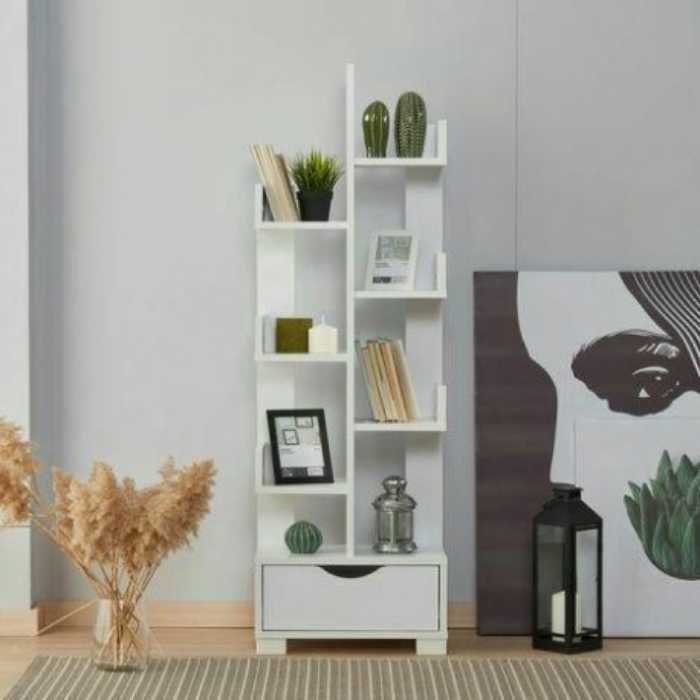 کتابخانه مدل کاکتوس پارسمن