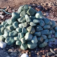سنگ قلوه رودخانه ای سبز  1تن