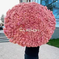 رز صورتی هلندی 500 شاخه