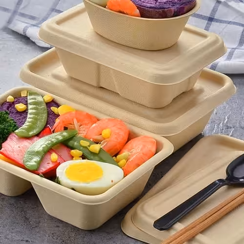 طرح توجیهی تولید ظروف یکبار مصرف گیاهی - Tarhtojihi.org