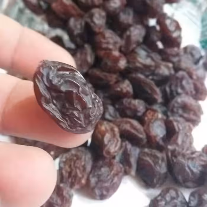 مویز (فخری) گوشتی، درشت، بهترین جایگزین برای قند و شکر و تنقلات مویز امسالی پاک