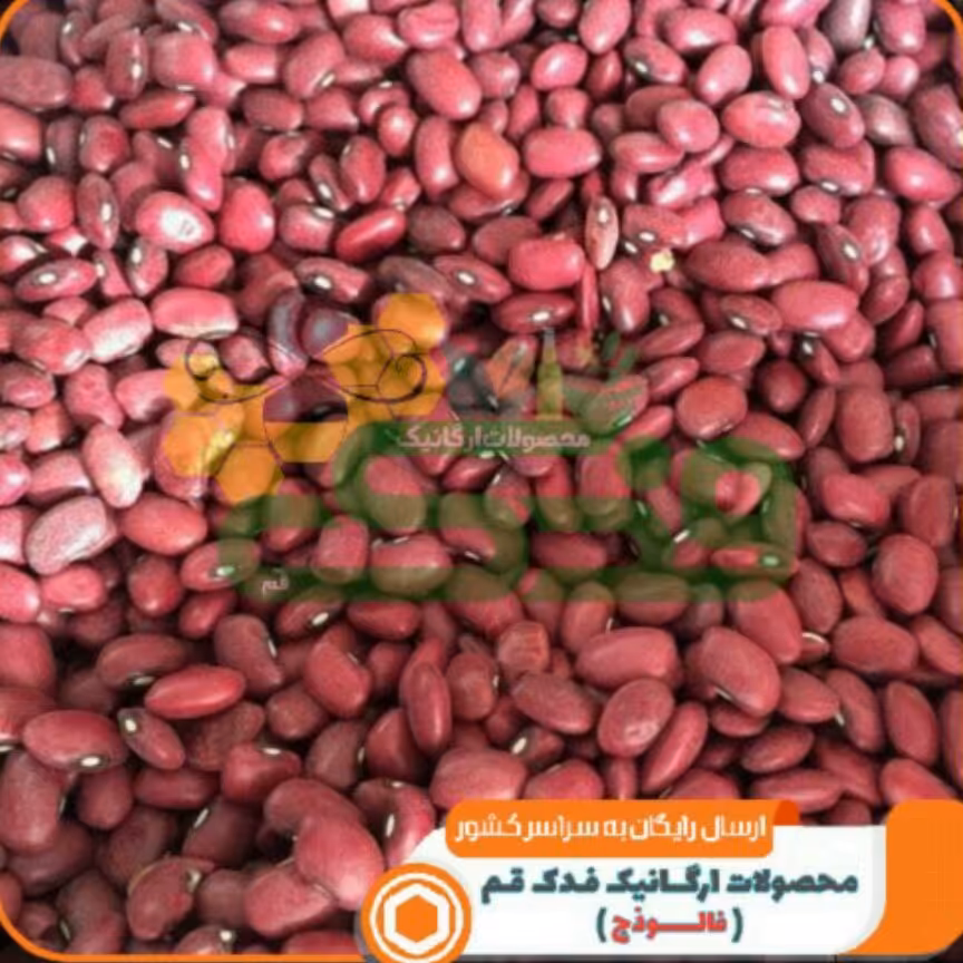 لوبیا قرمز ممتاز فدک (فروش ویژه)