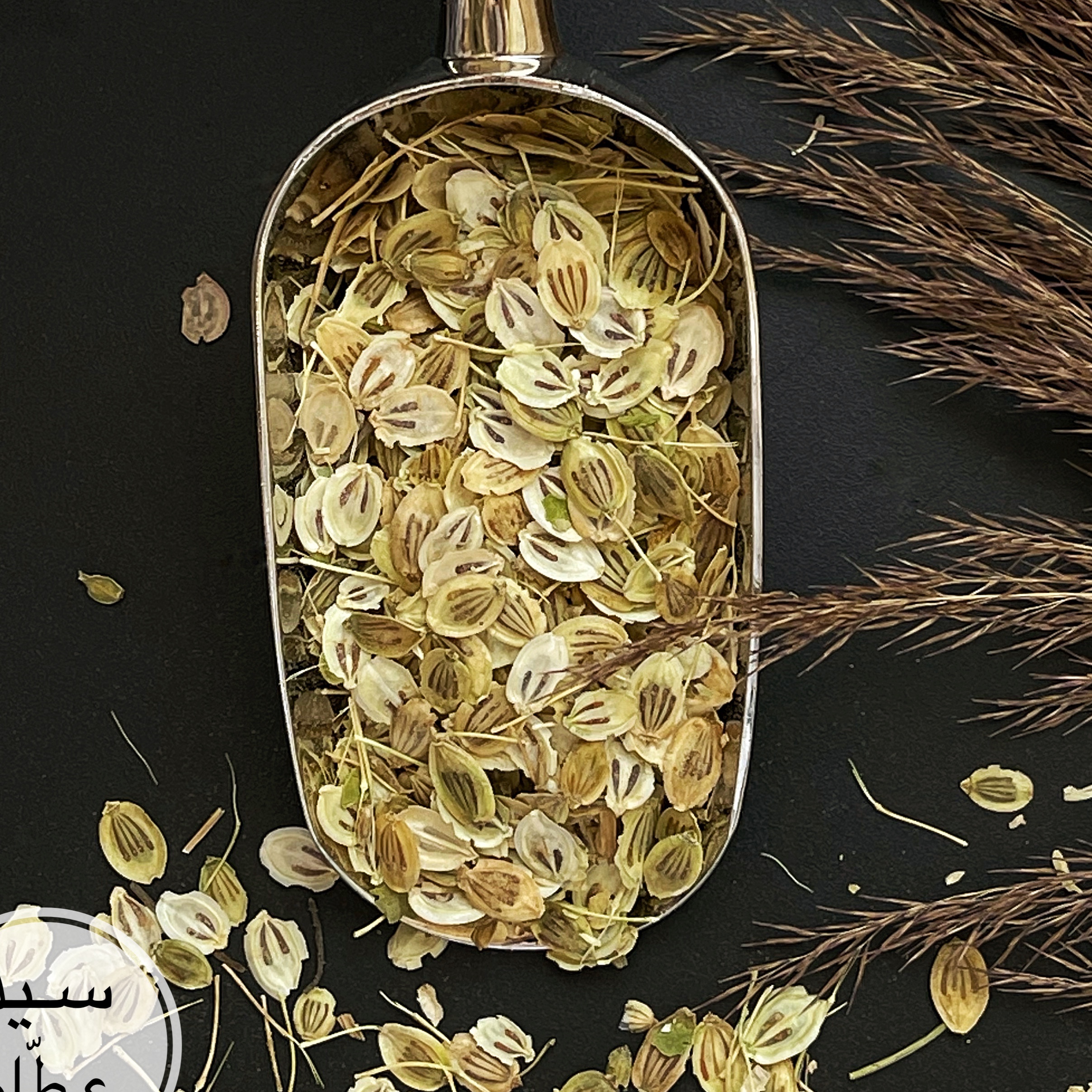 گلپر 600 گرمی