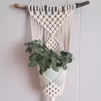 آویز مکرومه بافی مدل آویز  1 گلدان رنگ بندی متنوع