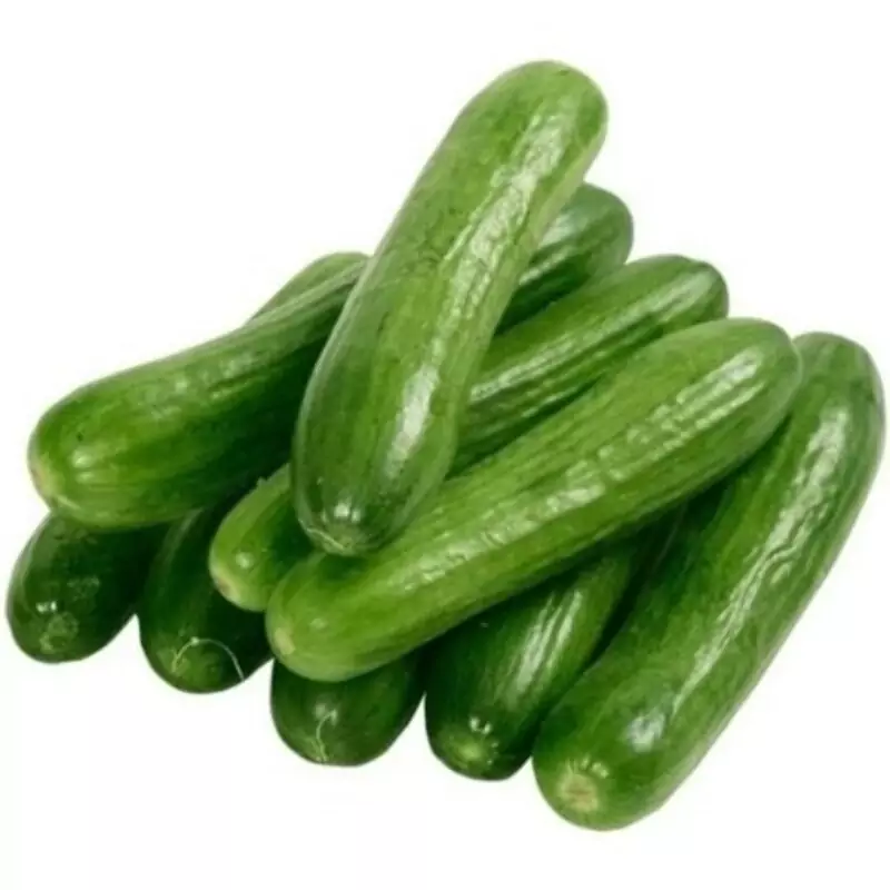 خیار مجلسی تازه 1 کیلوگرم ± 50gr