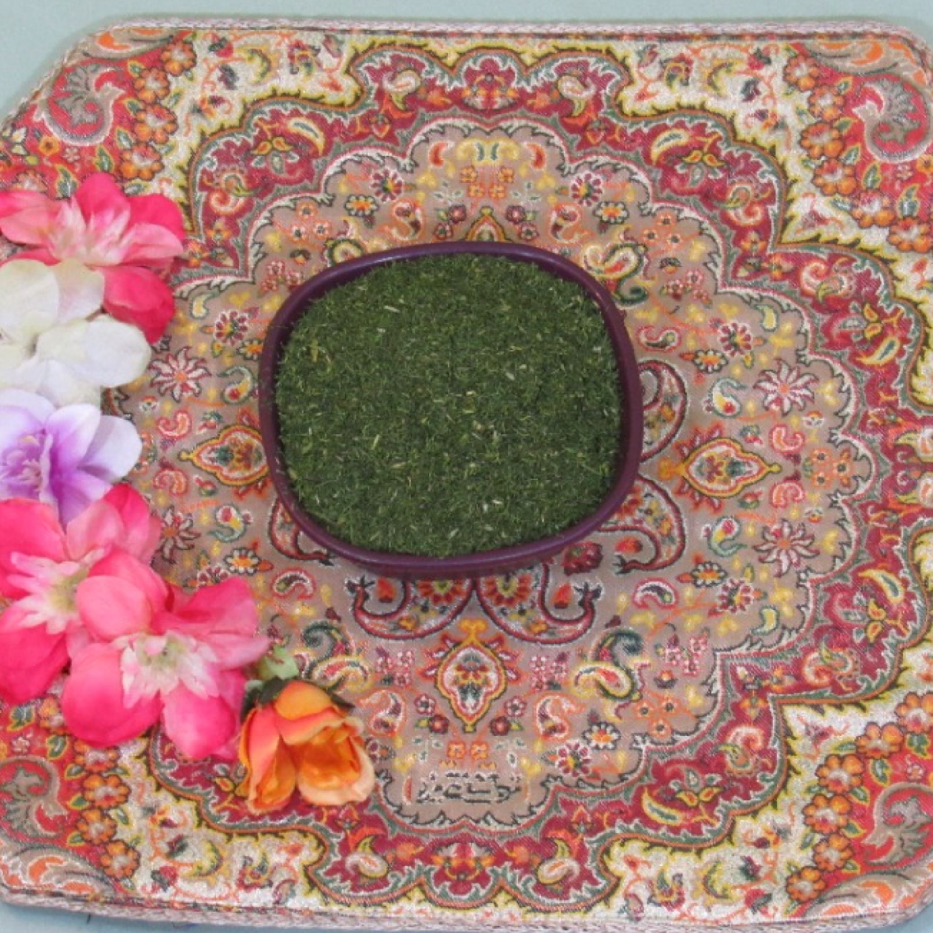 شوید خشک ممتاز 150 گرمی