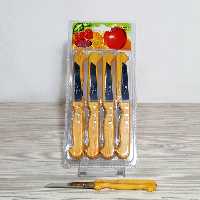 کارد میوه خوری مدل چوبی پرس کاری شده بسته دوازده عددی