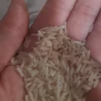 برنج معطر فجر گرگان درجه یک 10 کیلویی