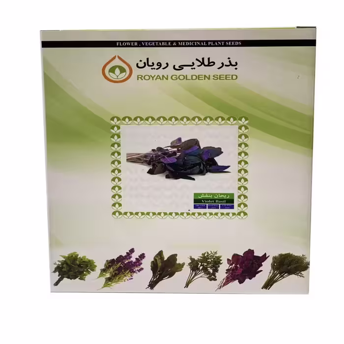 بذر ریحان بنفش 1 کیلویی - بذر طلایی رویان
