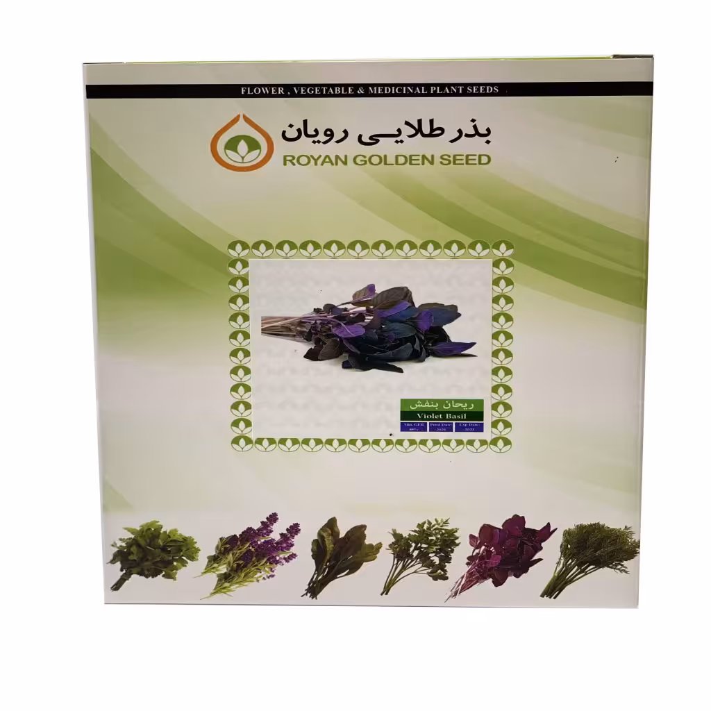 بذر ریحان بنفش 1 کیلویی - بذر طلایی رویان