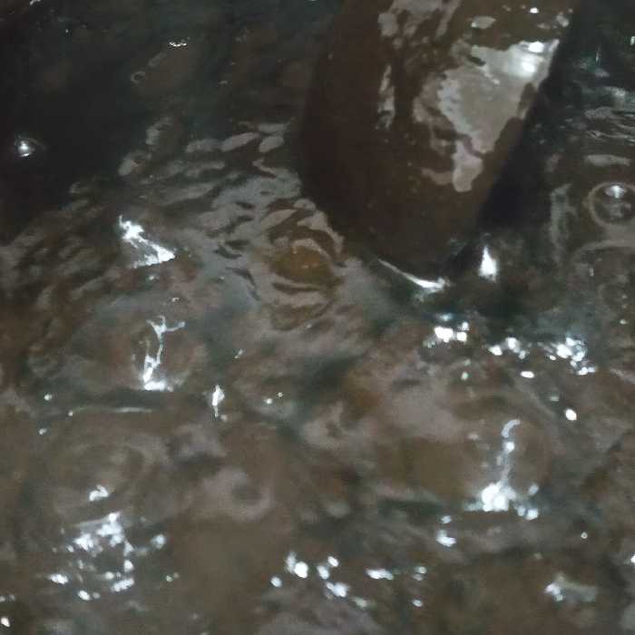 معجون سیاه دانه با شیره خرما