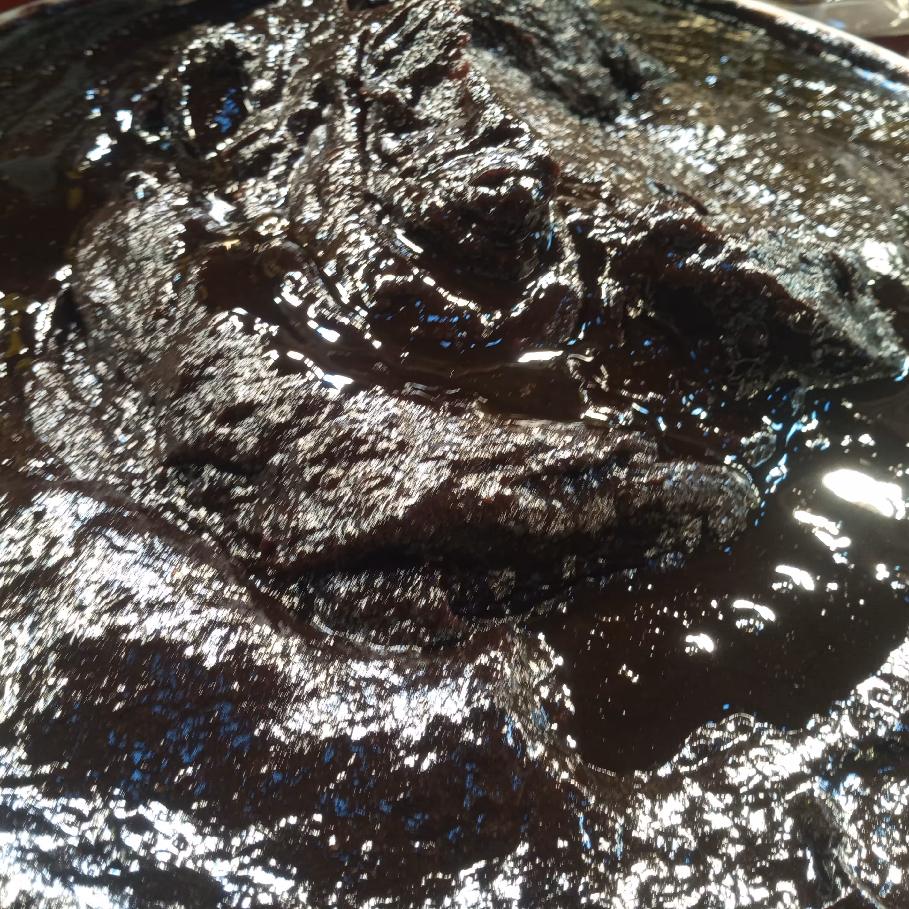 ررب انار  دون سیاه محلی 