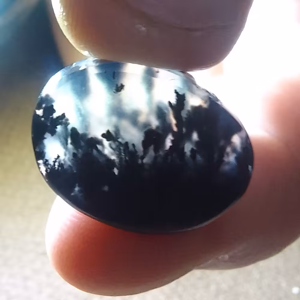 نگین شجر قائن مناسب رکاب کار زیبا 