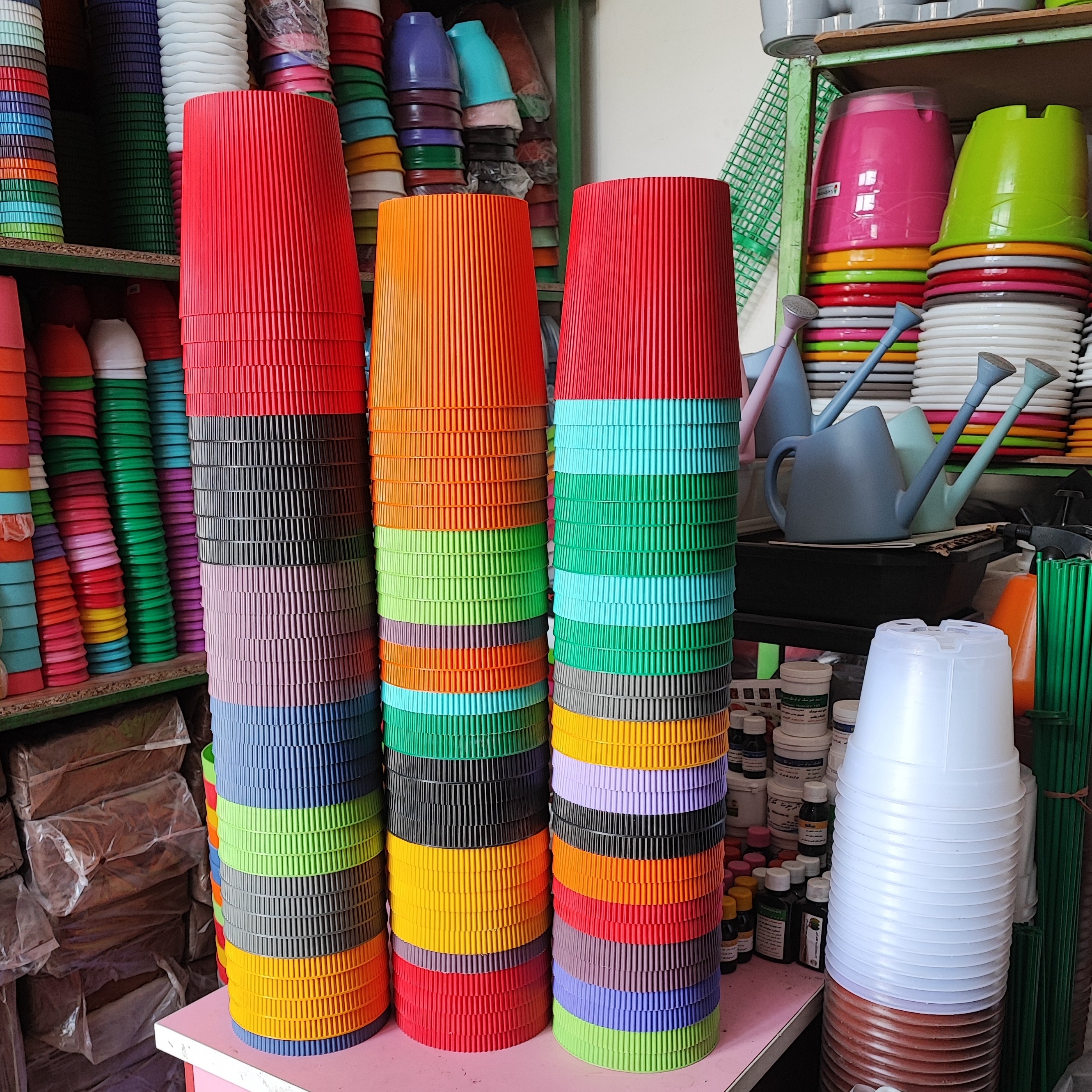 گلدان مارانتا 4020 داری زیره 