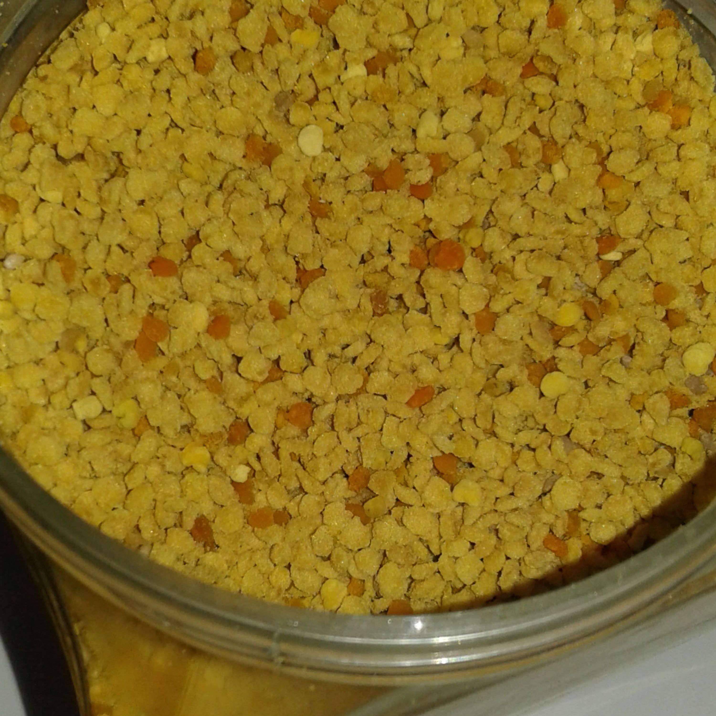گرده گل افتابگردان ودشت