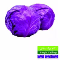 بذر کلم برگ بنفش بذر طلایی رویان