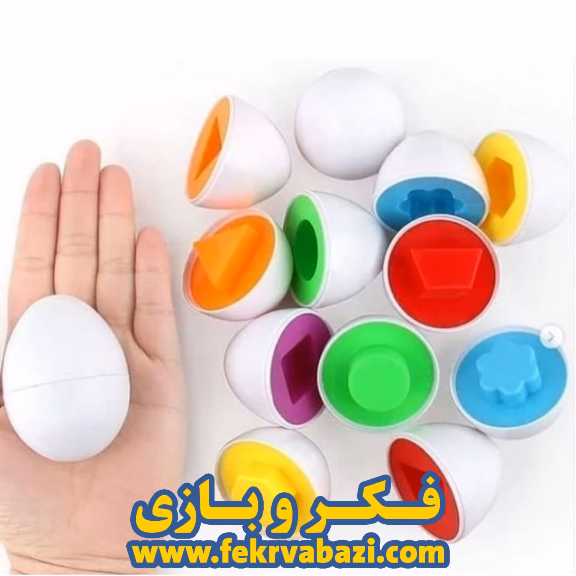 تخم مرغ های فکری