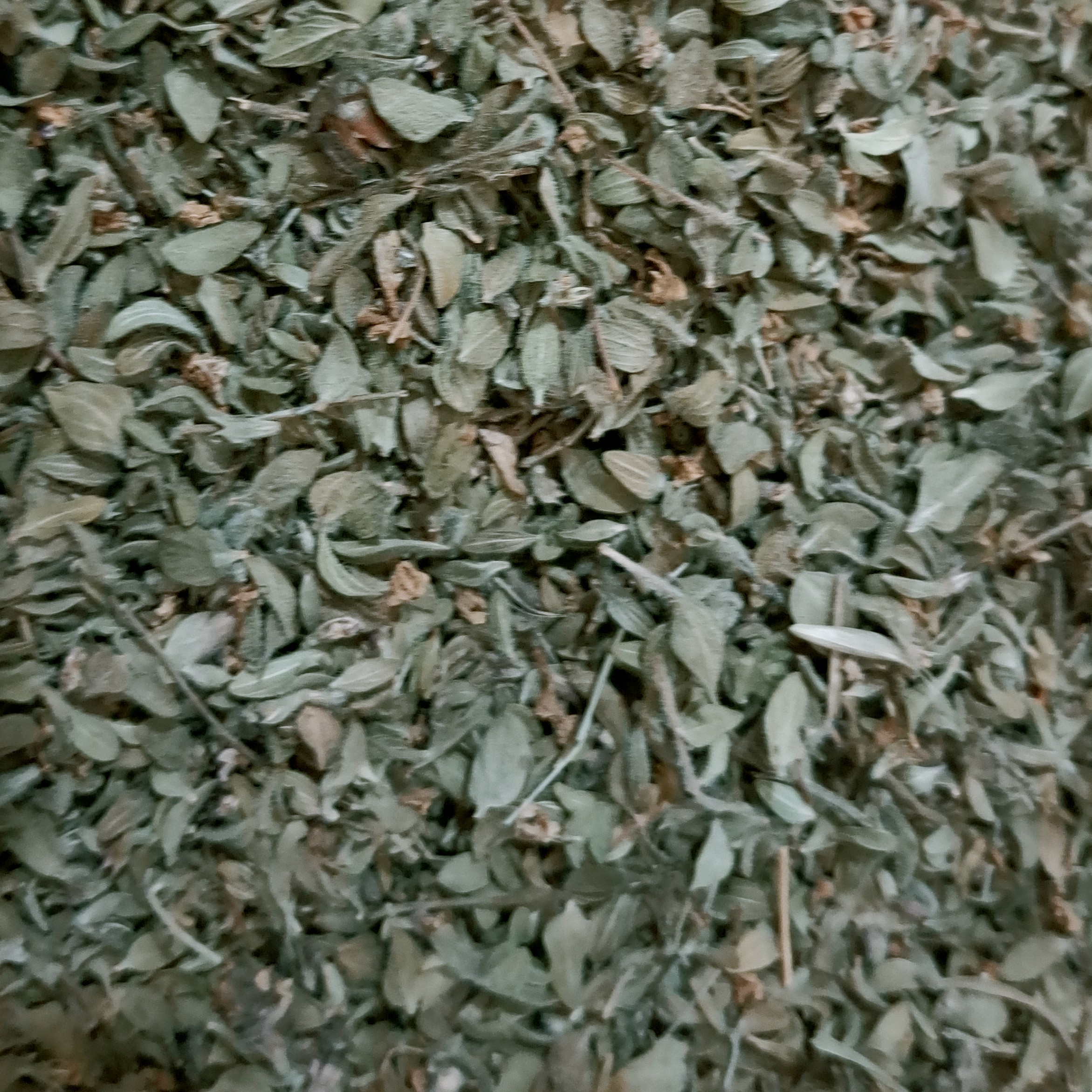 آویشن کوهی فله یک کیلویی کاملا تمیز عطاری ابن سینا رحیم آباد 