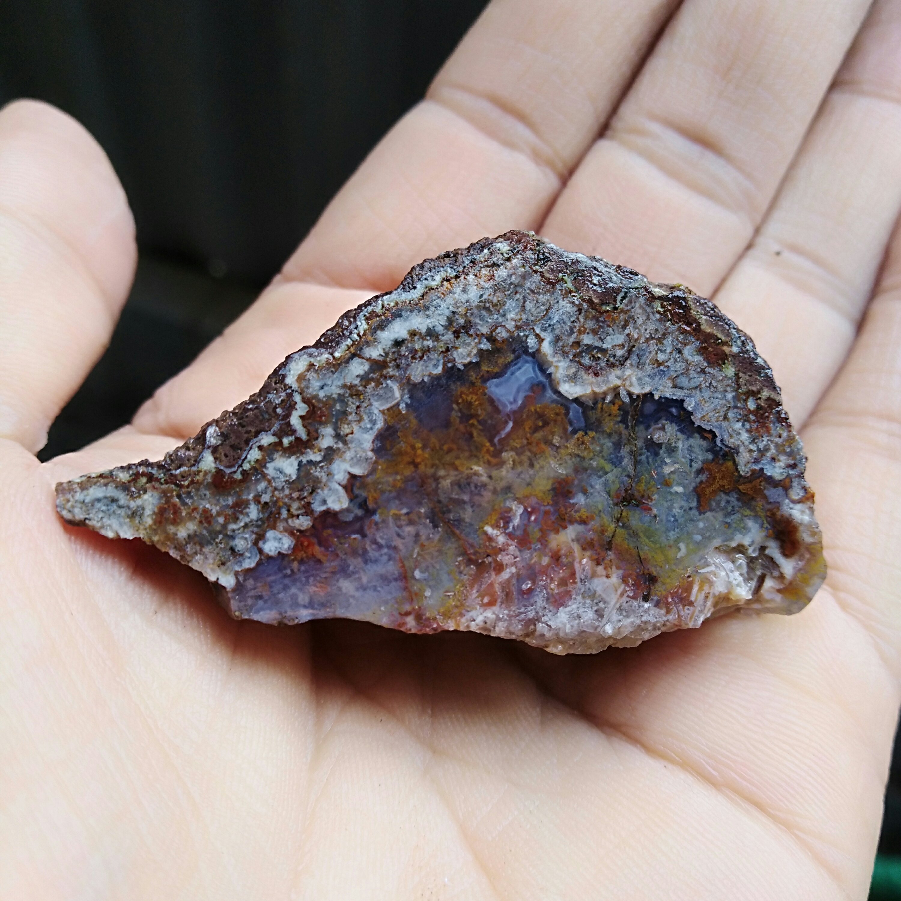 راف شجر 7رنگ دیدنی کاملا طبیعی