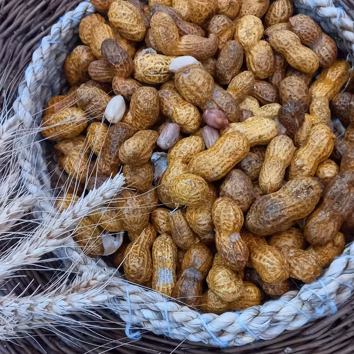 بادام زمینی شربتی(250گرمی)تضمین کیفیت