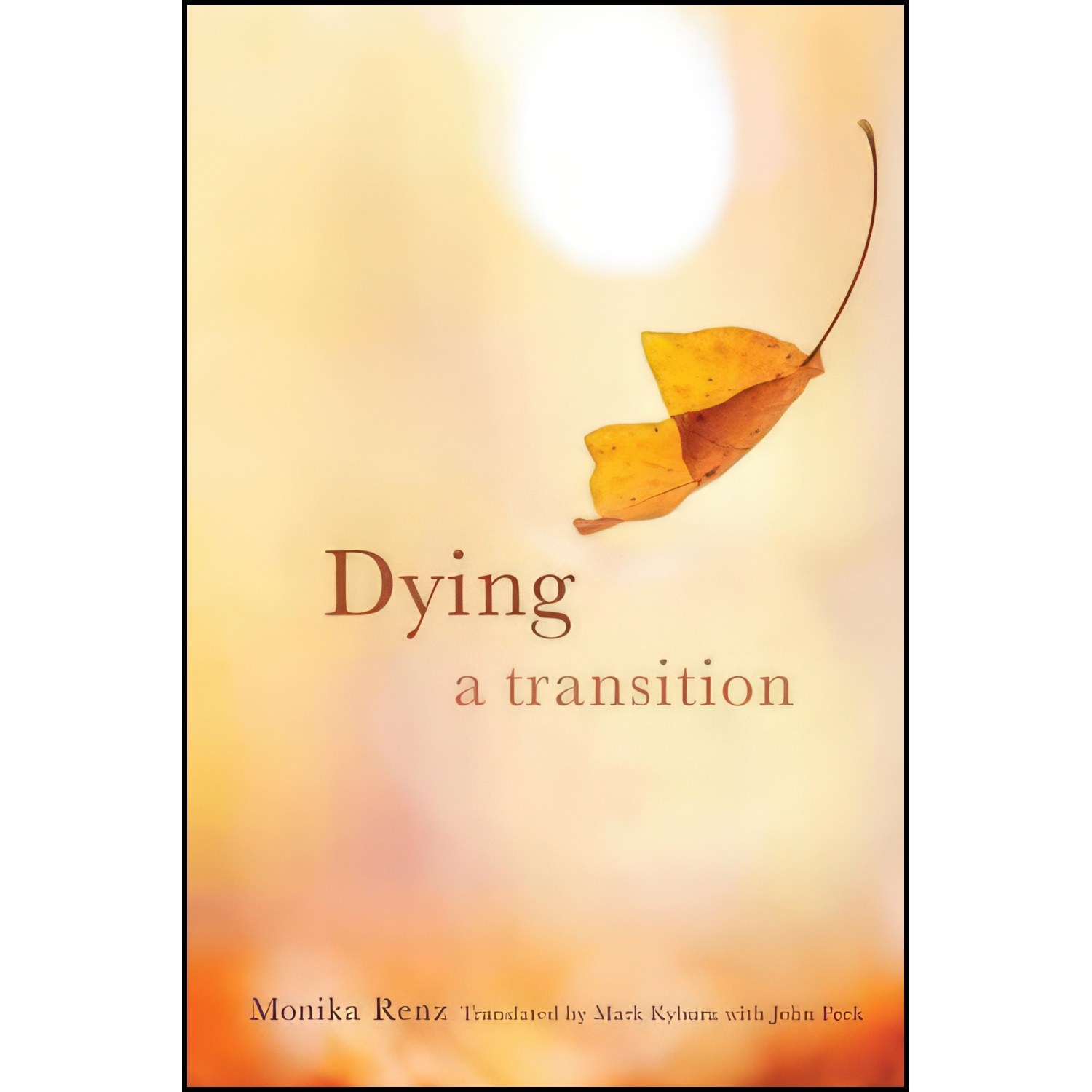 کتاب زبان اصلی Dying اثر Monika Renz and John Peck and Mark Kyburz