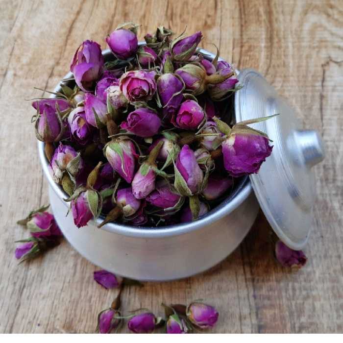 غنچه گل محمدی