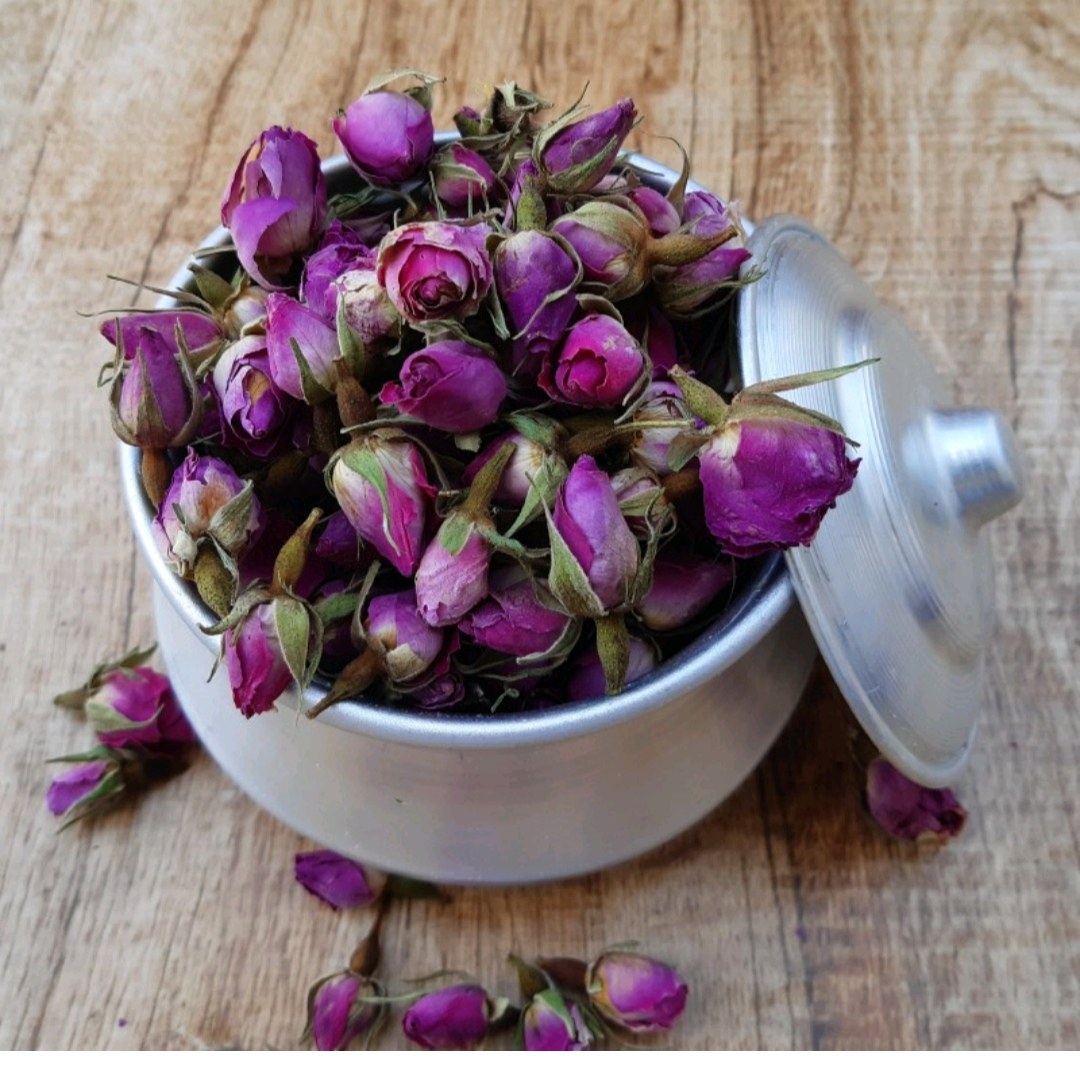 غنچه گل محمدی