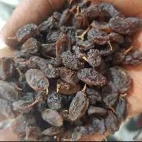 کشمش آفتابی یک کیلویی