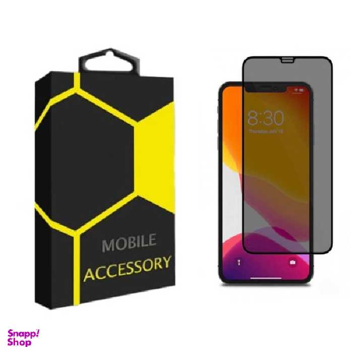 محافظ صفحه نمایش گوشی موبایل مدل Privacy مناسب اپل iPhone 12 Pro