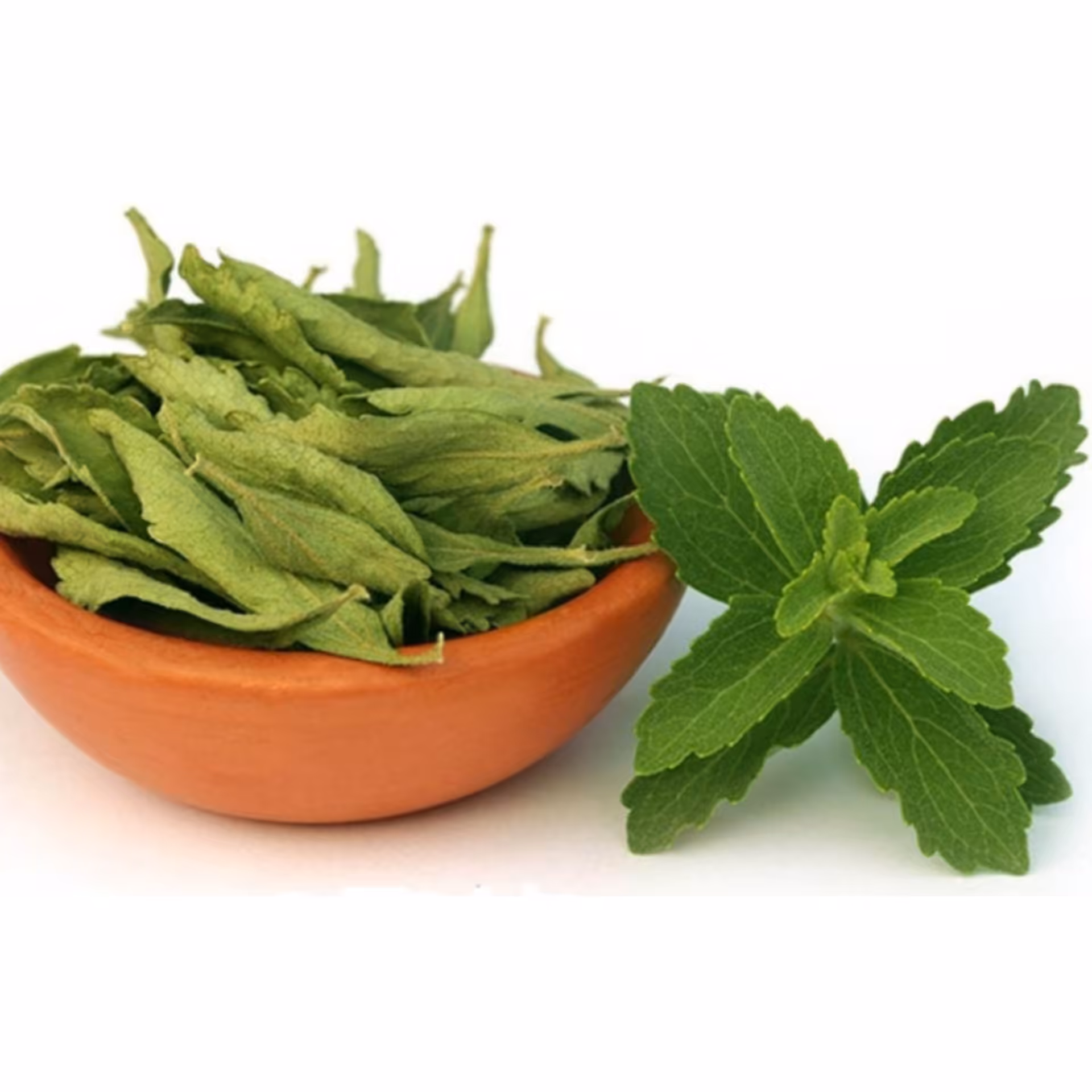 برگ استویا خشک 500 گرم جایگزین قند و شکر