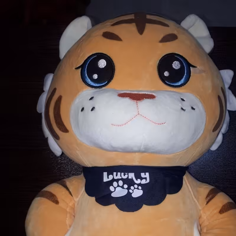 ببر  دست به جیب خارجی نانو