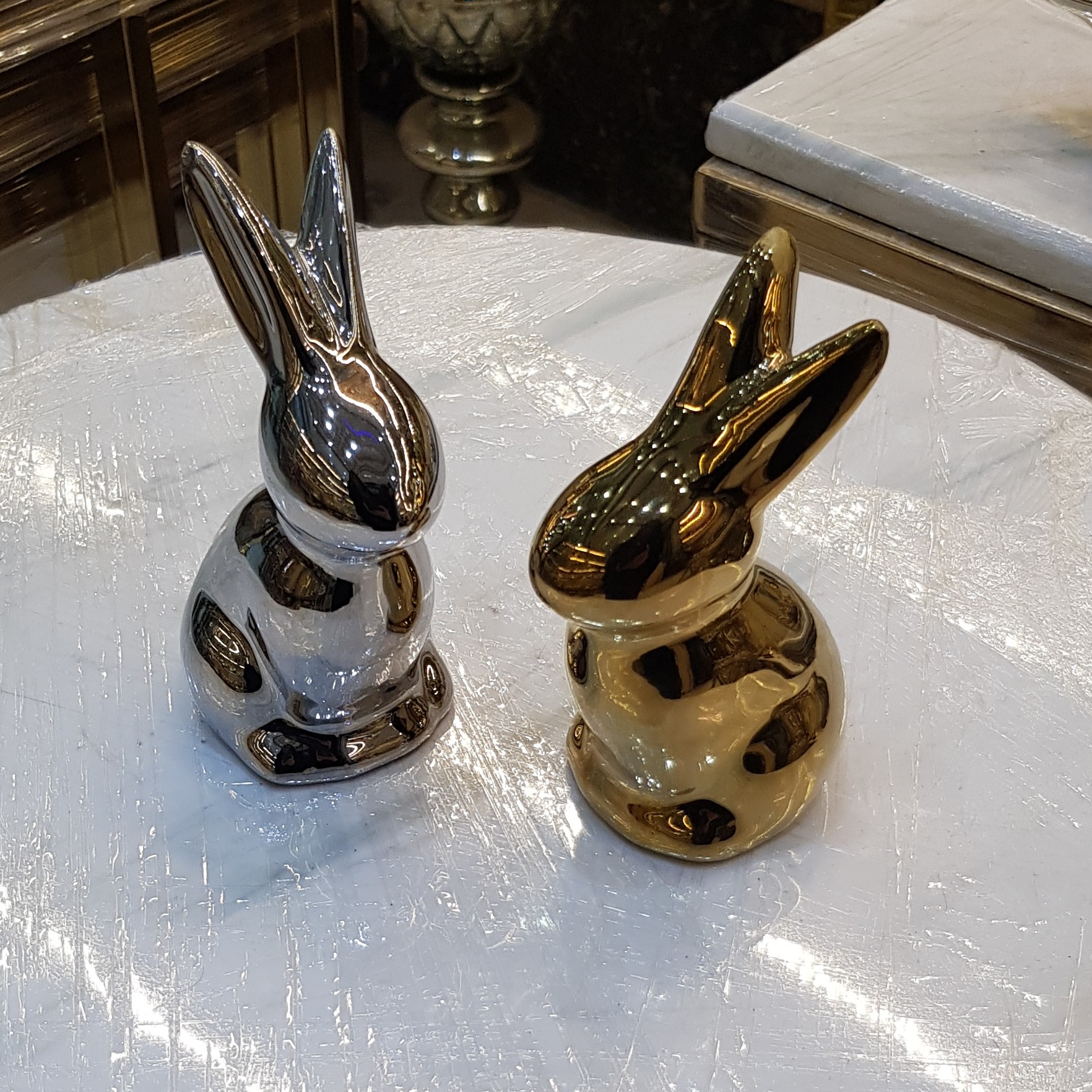 خرگوش 