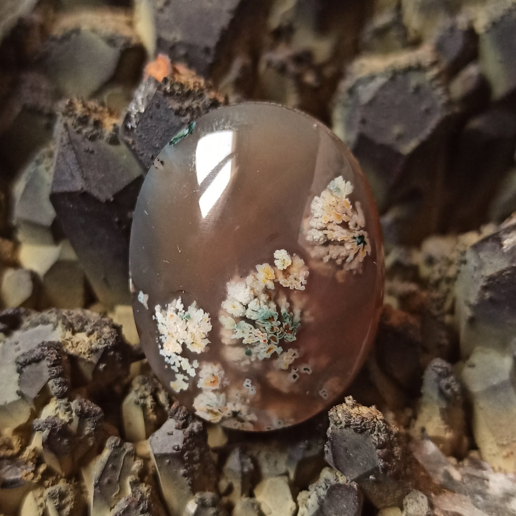 عقیق شجر بهاری زمینه عسلی تیره کد 102