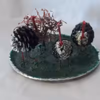 شتر مرغ با استفاده از گلهای خشک شده درخت کاج ، با رنگ روغن تزئین شده و محیط آن از مصنوعات پلاستیک استفاده شد (پس کرایه)