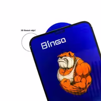 محافظ صفحه نمایش آیفون 13 پرومکس برند Bingo