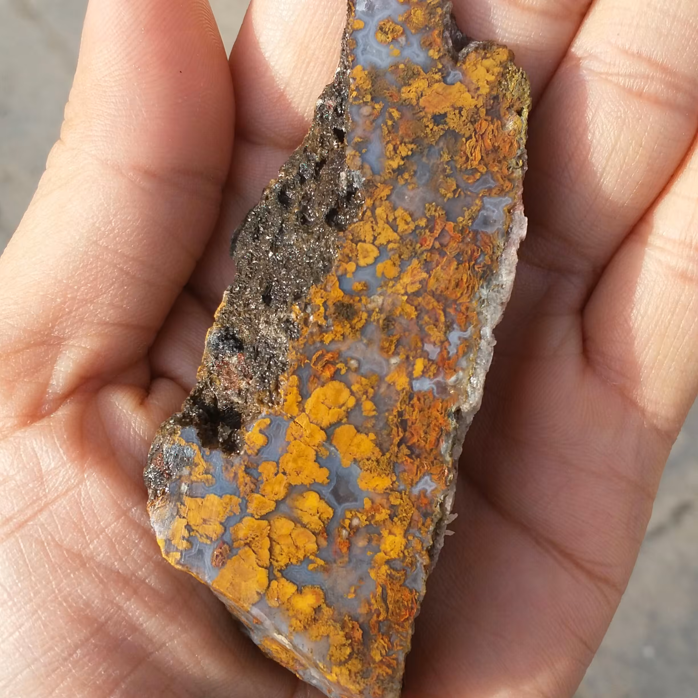 اسلایس سنگ راف عقیق شجر منظره  پاییزی خارق العاده تک دیدنی 100 در 100 طبیعی شاهکار خلقت خاص
تابلو نقاشی طبیعی