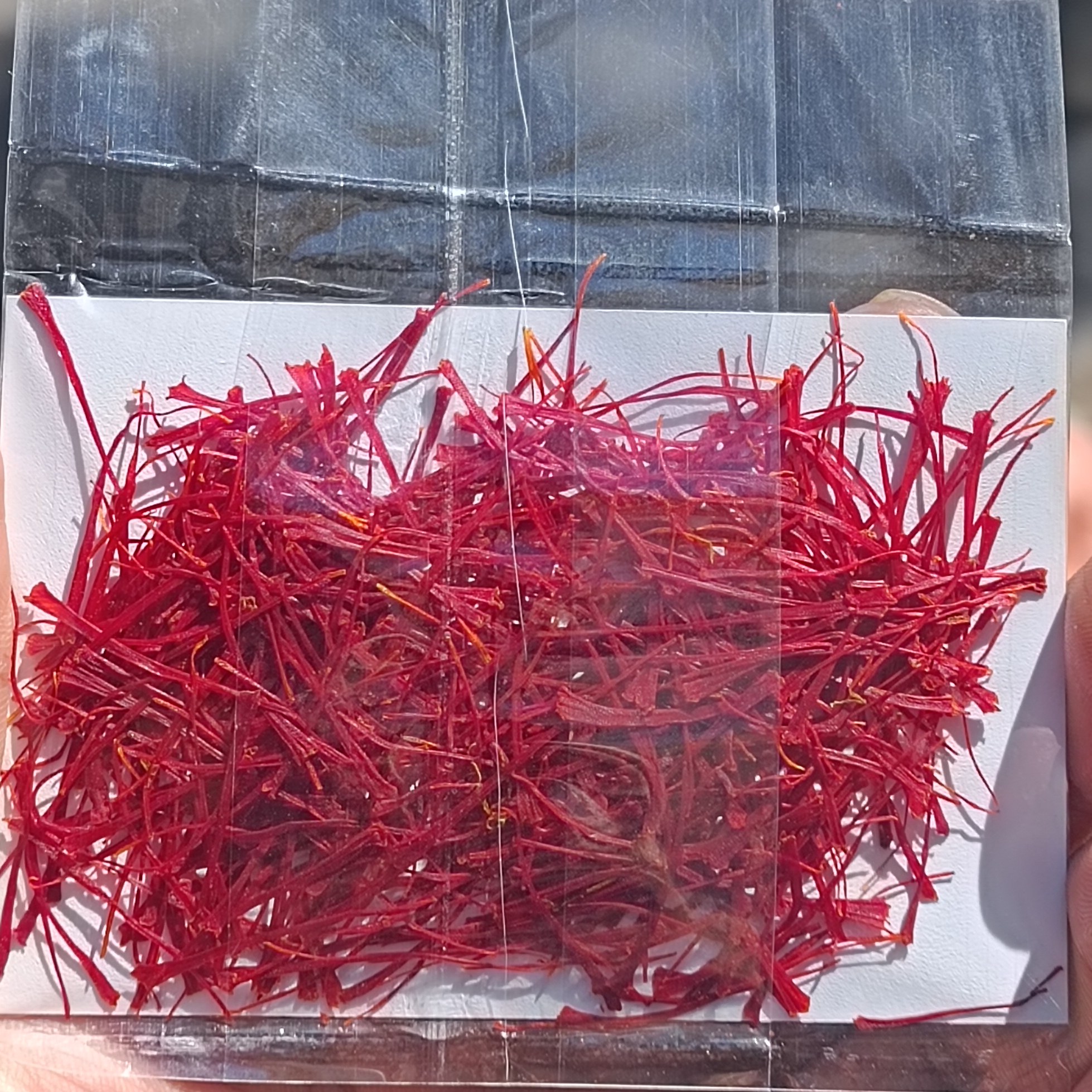 زعفران نگین