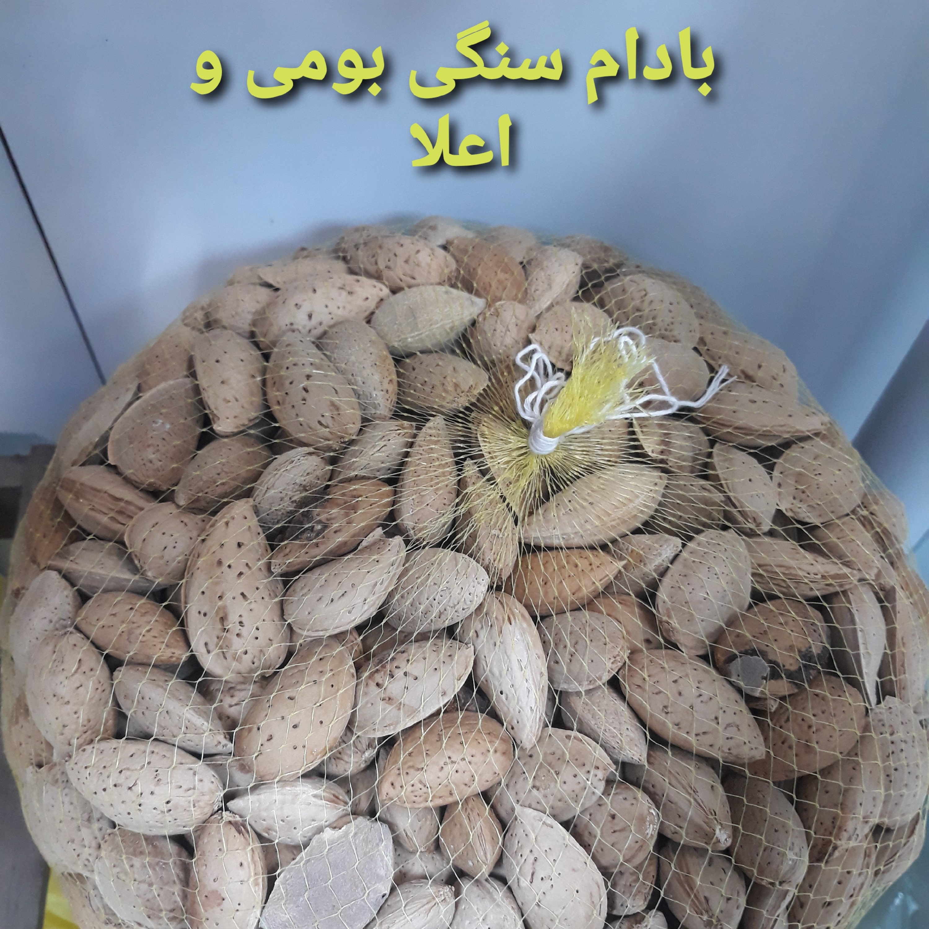 بادام شیرین و بومی ،امسالی وتازه