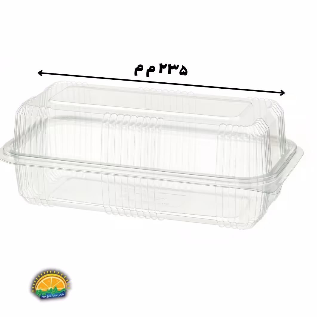 ظرف یکبار مصرف لانچ بزرگ و بلند