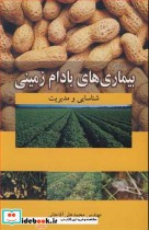 قیمت و خرید کتاب بیماری های بادام زمینی شناسایی و مدیریت | ایده بوک