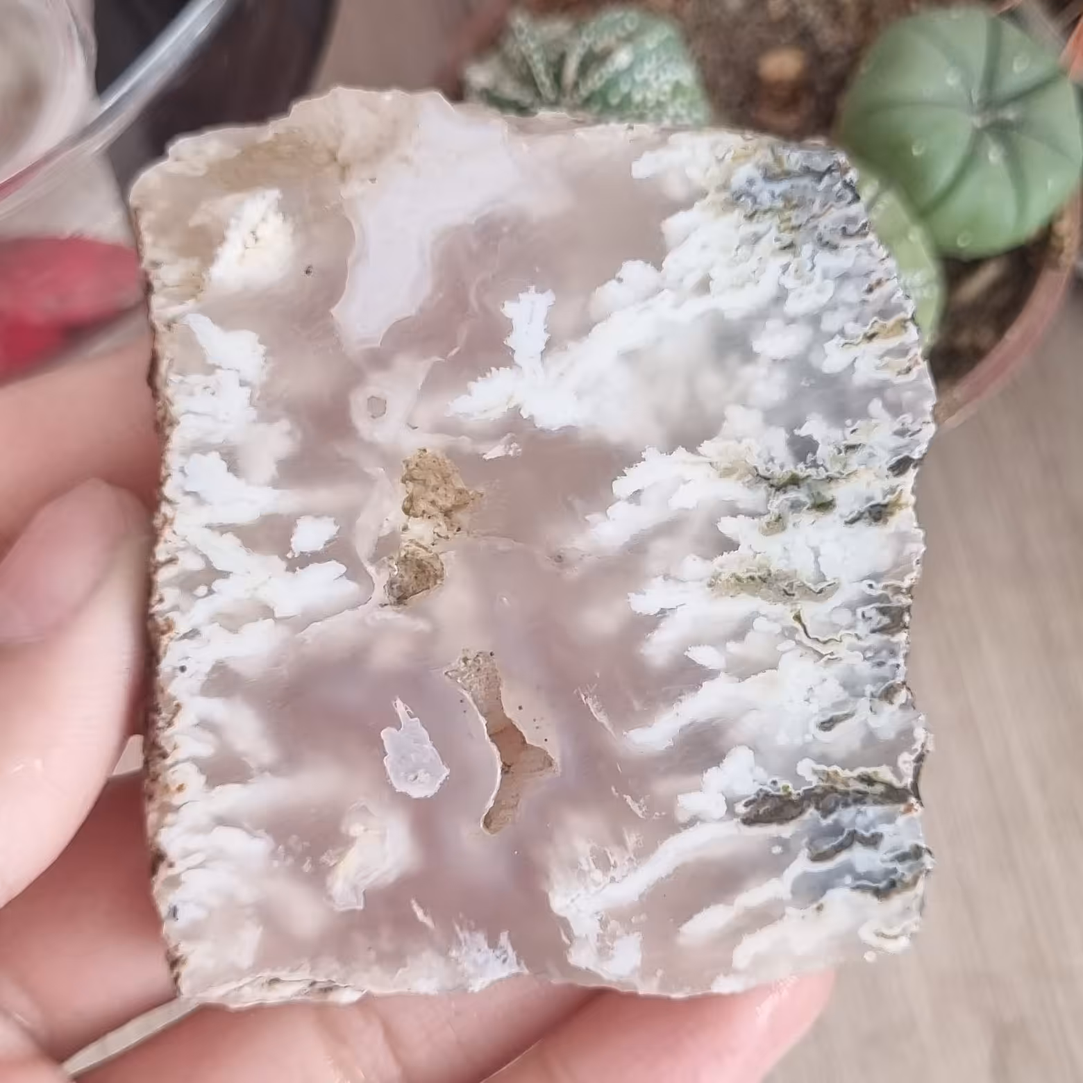 سنگ شجر کد047