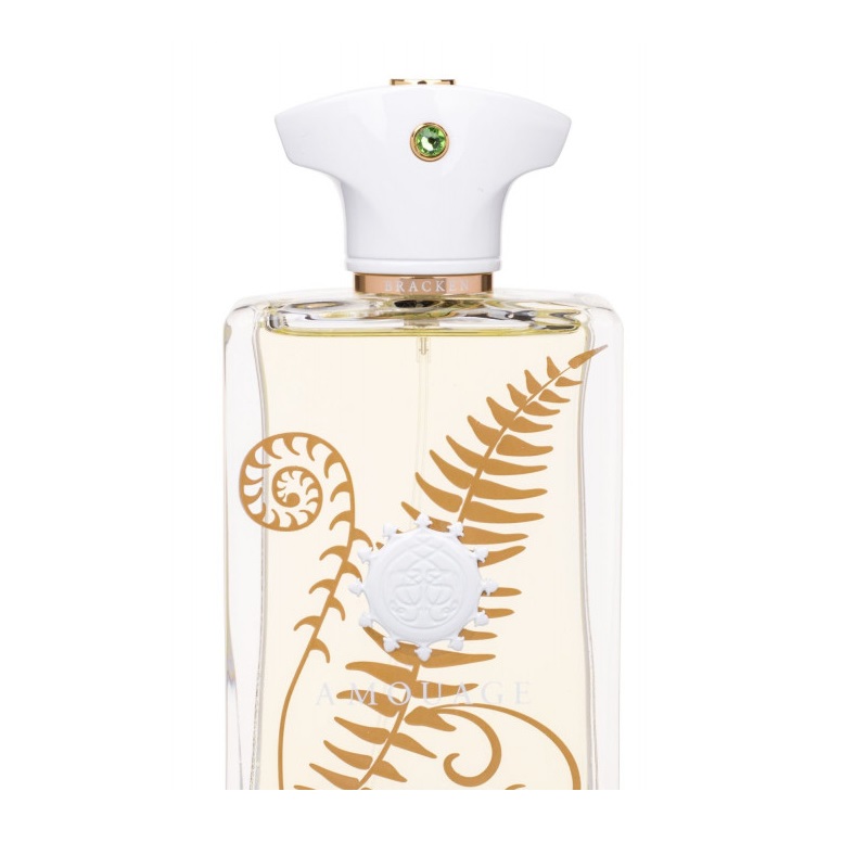 ادو پرفیوم مردانه آمواژ مردانه حجم 100 میلی لیتر