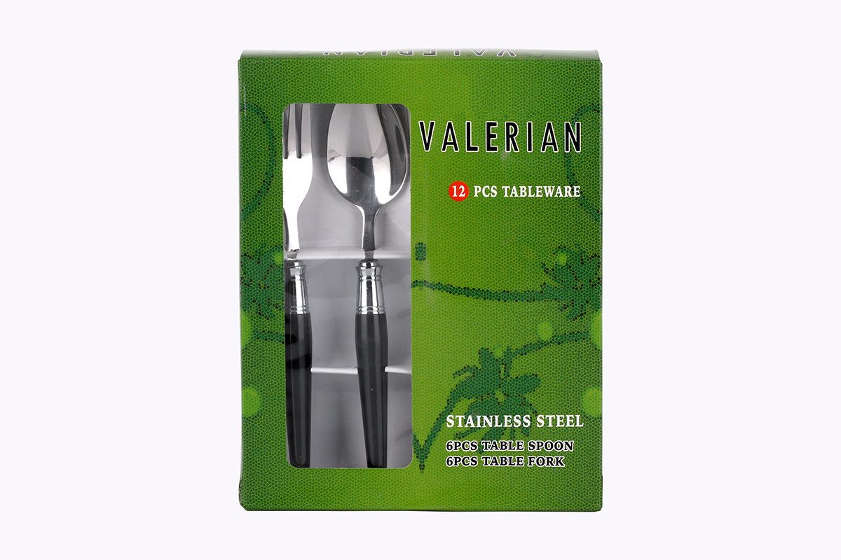 قاشق و چنگال 12 پارچه مدل 2909 S DS