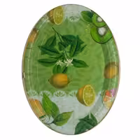 سینی پلاستیکی مدل LA