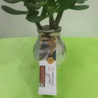 عطر طبیعی شکوفه سنجد برکات(1گرمی)
