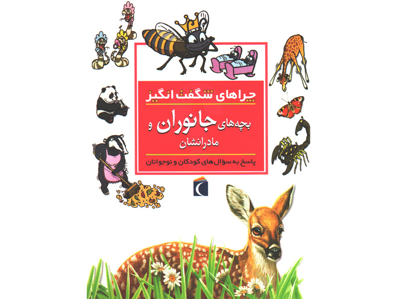 کتاب چراهای شگفت انگیز بچه های جانوران اثر جینی جانسون